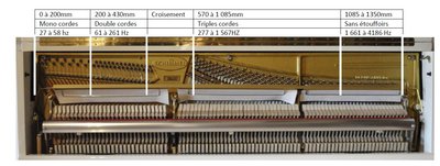 Plan de cordes annoté.jpg
