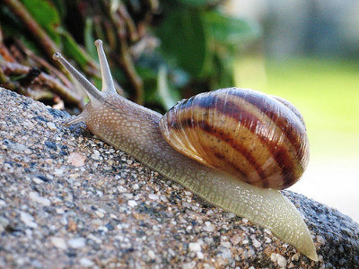 Slow.jpg